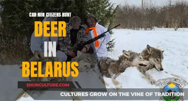 Hunting Deer in Belarus: Non-Citizen Opportunities