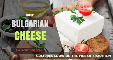 Exploring the Rich Flavors of Bulgarian Cheese: A Culinary Journey