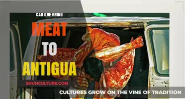 Bringing Meat to Antigua: Rules, Restrictions, and Travel Tips