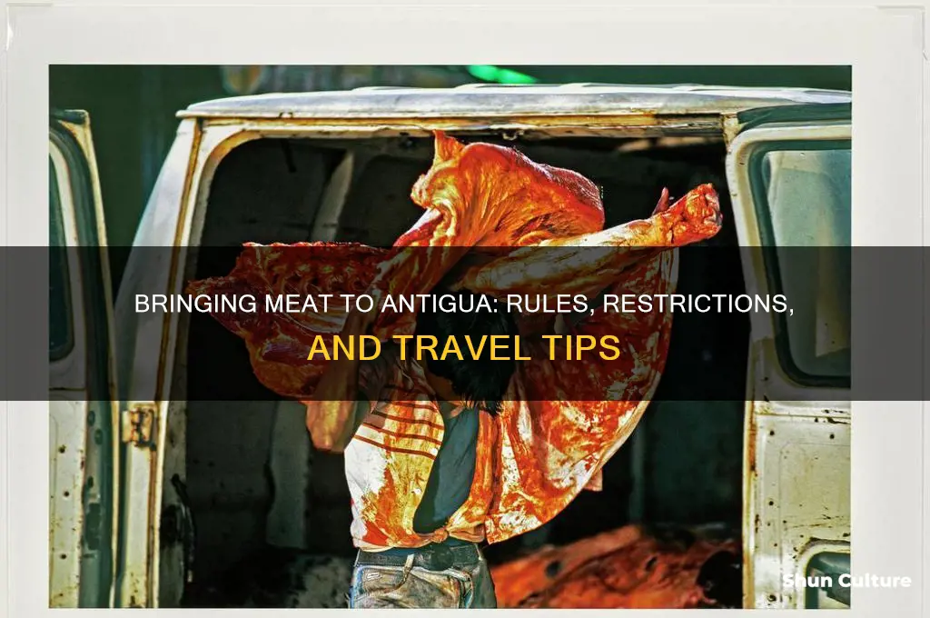 can one bring meat to antigua