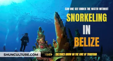 Explore Belize's Underwater World Without Snorkeling