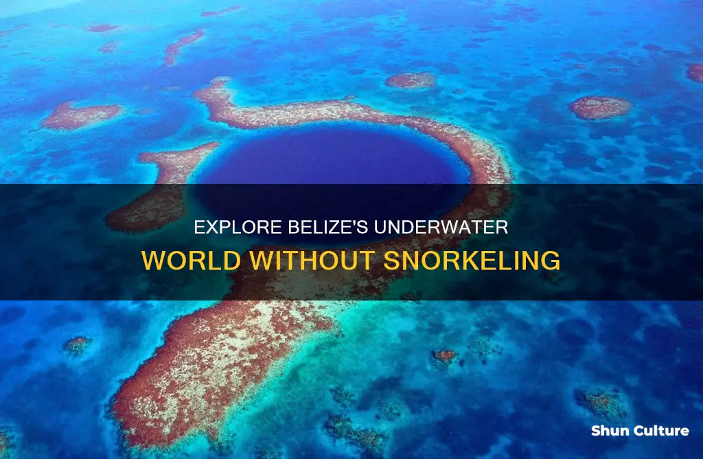 can one see under the water without snorkeling in belize