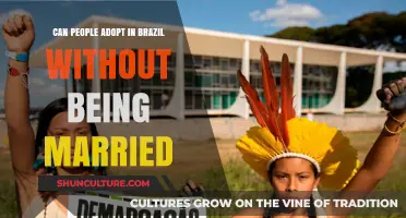 Adopting in Brazil: Single or Unmarried? Legal Insights and Process
