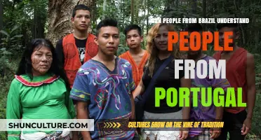 Can Brazilians Understand Portuguese Speakers from Portugal? Exploring Language Similarities