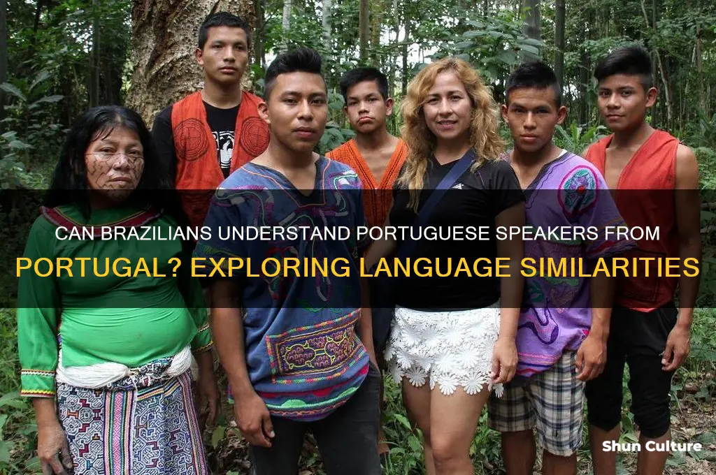can people from brazil understand people from portugal