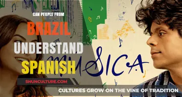 Can Brazilians Understand Spanish? Exploring Language Similarities and Differences