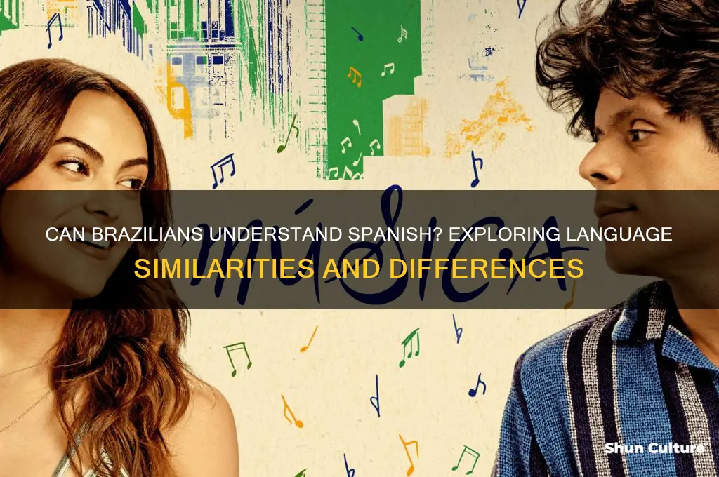 can people from brazil understand spanish