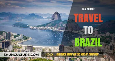 Exploring Brazil: Travel Requirements, Safety Tips, and Visa Guidelines