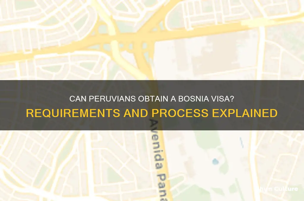 can peruvian get visa to bosnia