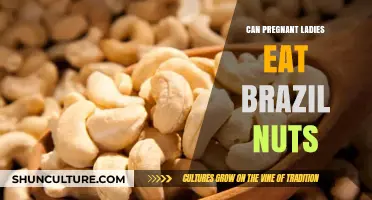 Pregnancy Nutrition: Are Brazil Nuts Safe for Expecting Moms?