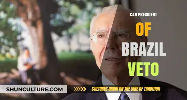 Can Brazil's President Veto Legislation? Understanding Executive Powers in Brazil