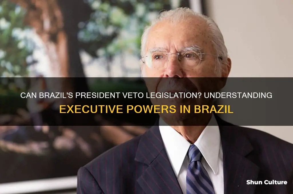 can president of brazil veto