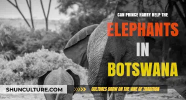 Prince Harry's Mission: Saving Botswana's Elephants from Poaching Crisis