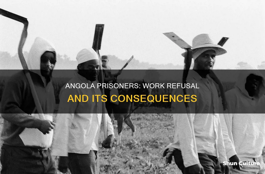 can prisoners at angola refuse to wotk