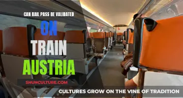 Validating Rail Passes: Onboard Austrian Trains