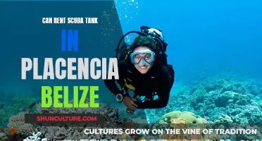 Renting Scuba Tanks in Placencia, Belize: What You Need to Know