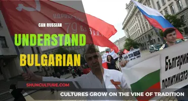 Exploring Slavic Connections: Can Russians Understand Bulgarian?