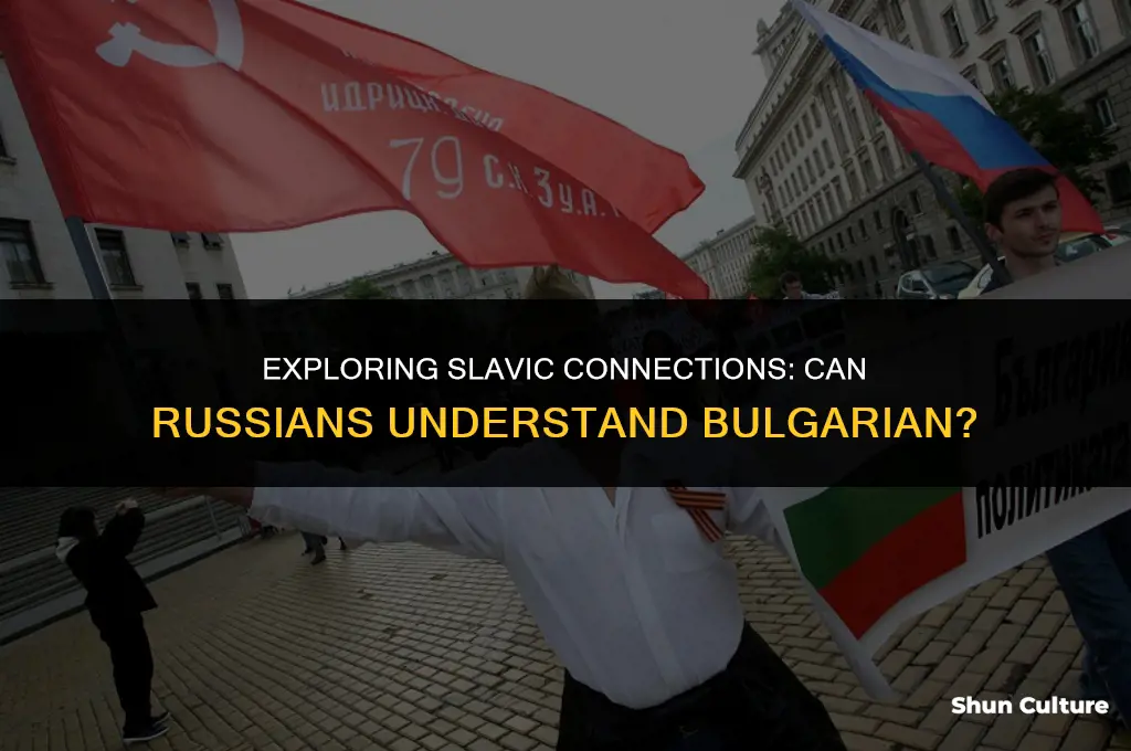 can russian understand bulgarian