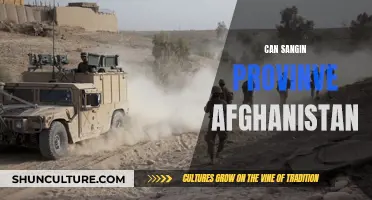 The Sangin District: A Strategic Battleground in Afghanistan's Helmand Province