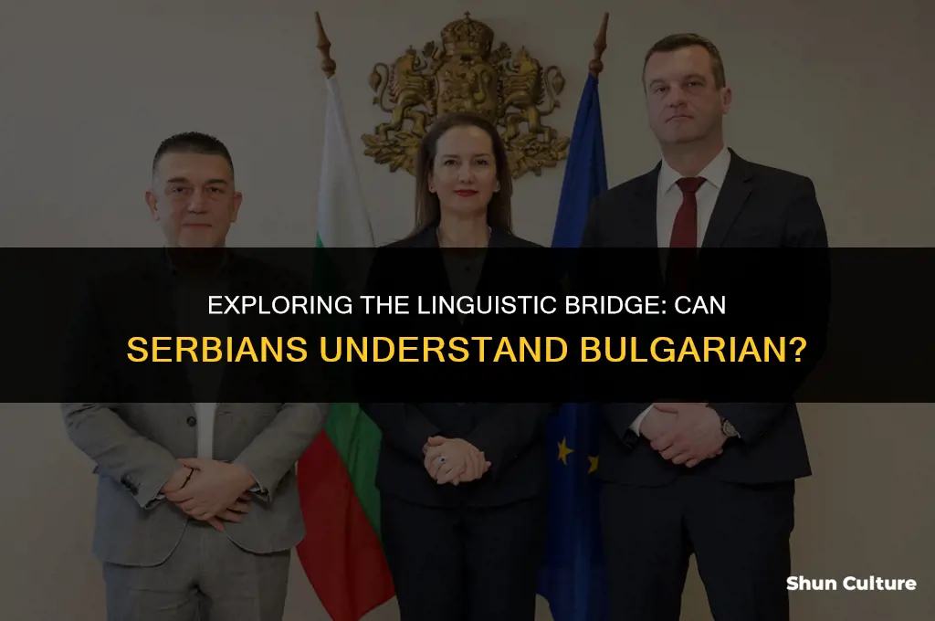 can serbians understand bulgarian