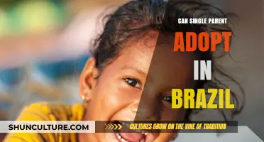Single Parent Adoption in Brazil: Legal Process and Requirements Explained