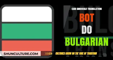 Unlocking Bulgarian: Can Smoogle Translation Bot Deliver?