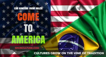 Brazilians Traveling to the USA: Visa Requirements and Entry Process