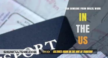 Can Brazilians Work in the US? Visa Options Explained