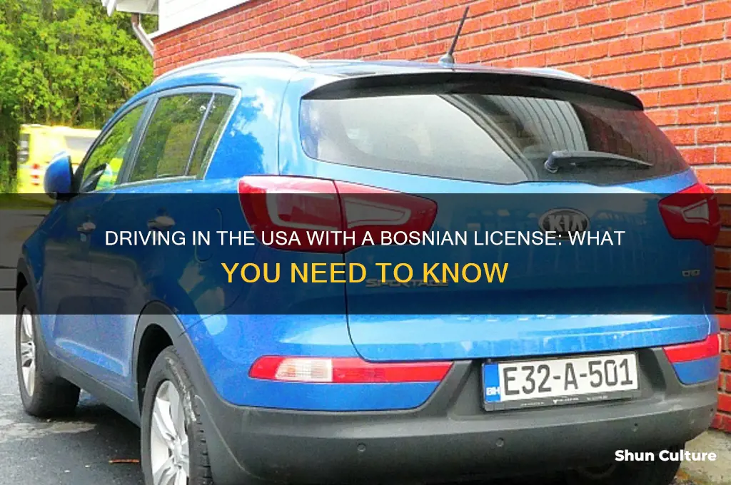 can someone with bosnian driver license drive in usa