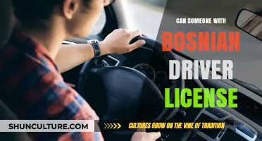 Can a Bosnian Driver's License Be Used Abroad? Key Facts