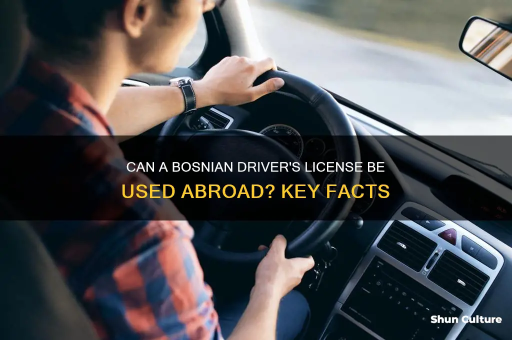 can someone with bosnian driver license