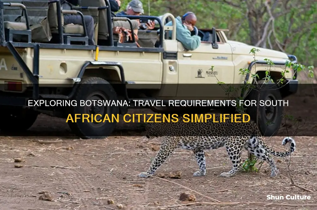 can south africans travel to botswana