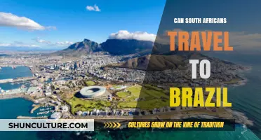 South Africans Traveling to Brazil: Visa Requirements and Tips