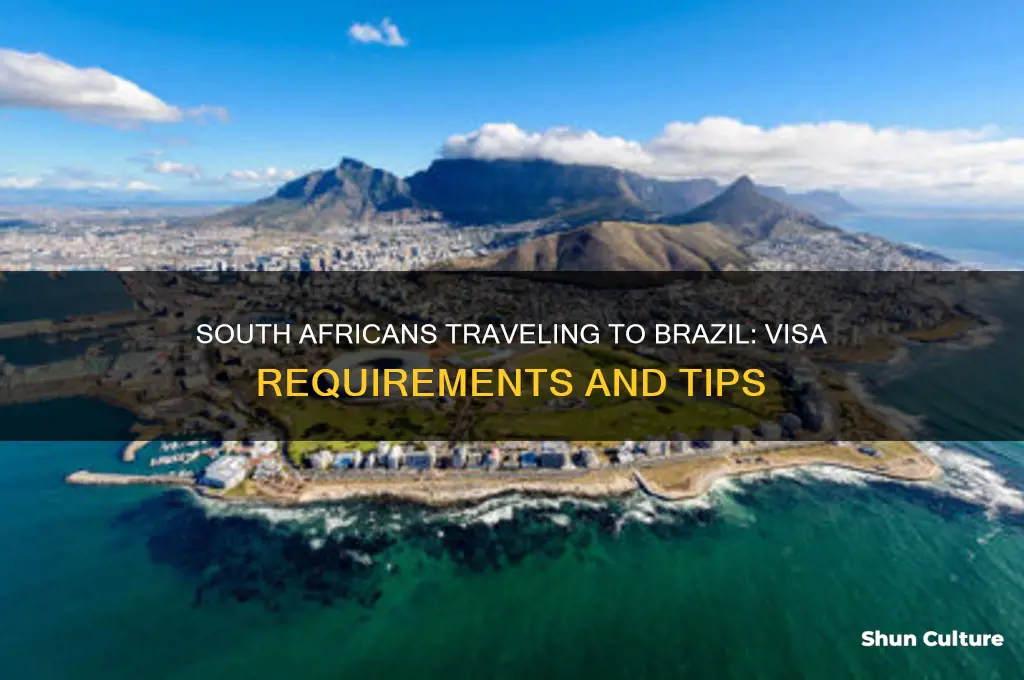 can south africans travel to brazil