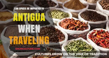 Traveling to Antigua? Learn About Importing Spices Regulations and Tips