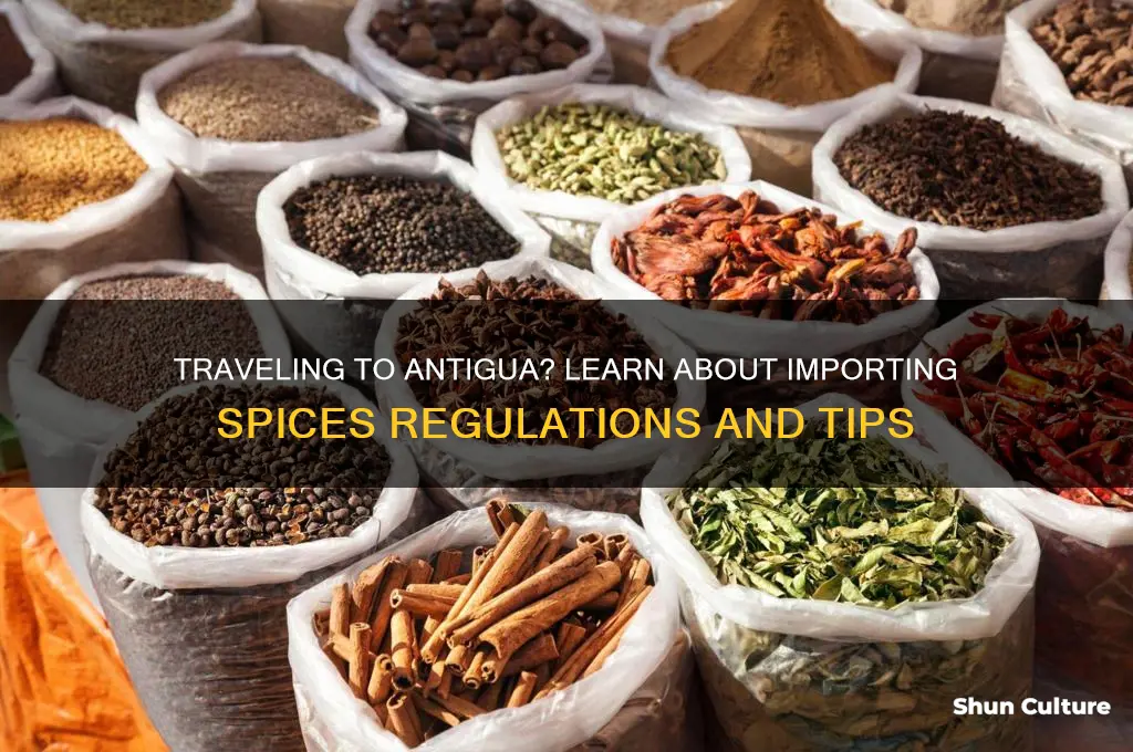 can spices be imported to antigua when traveling