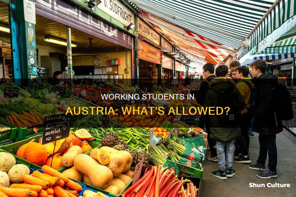 can student work while studying in austria