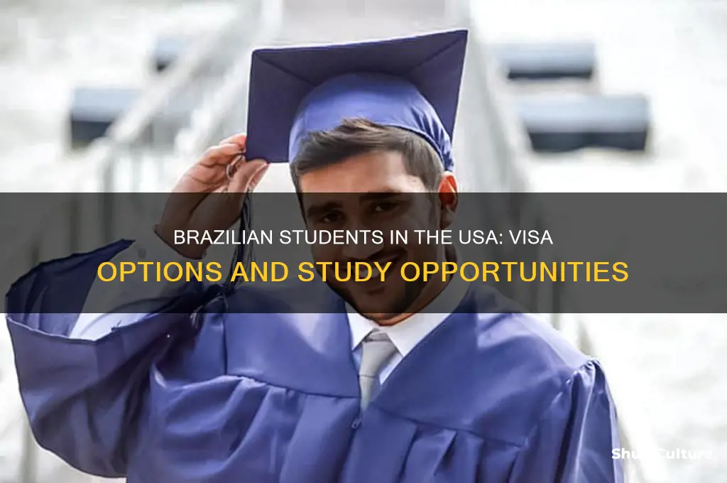 can students from brazil come to the usa