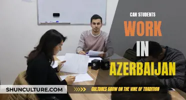 Working Students in Azerbaijan: What Are the Opportunities?