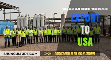 Brazil's Sugarcane Ethanol: Export Potential to the U.S. Market