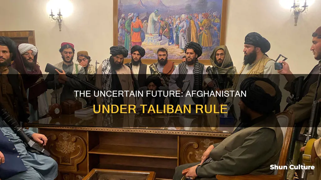 can taliban government afghanistan