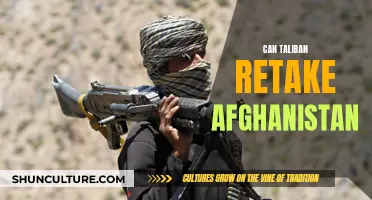 The Resurgence of the Taliban: Afghanistan's Uncertain Future