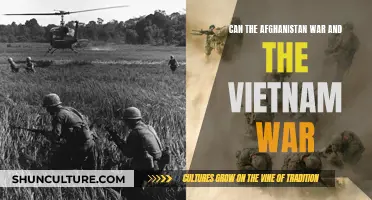 The Afghanistan and Vietnam Wars: A Study in Historical Parallels and Strategic Lessons