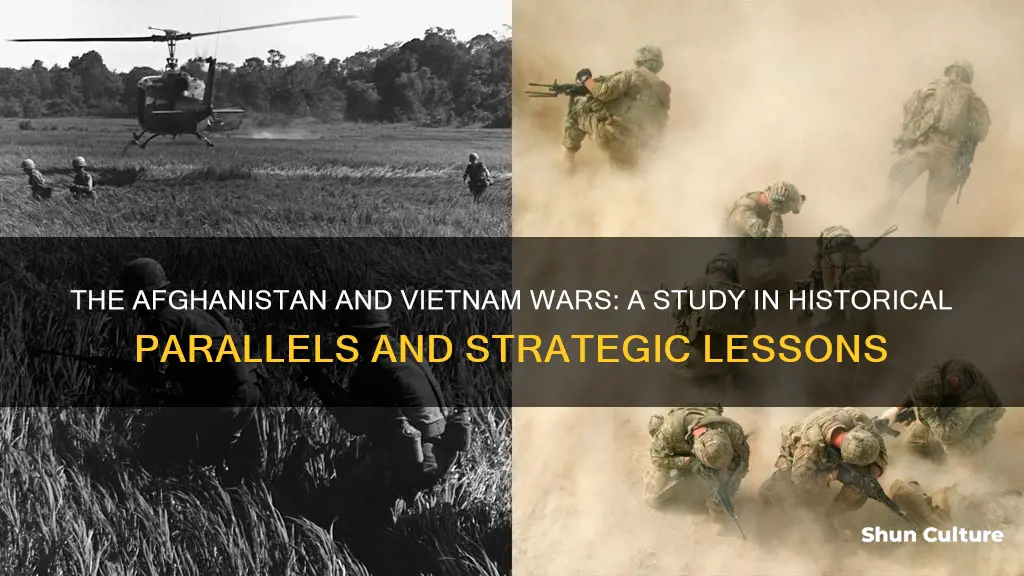 can the afghanistan war and the vietnam war