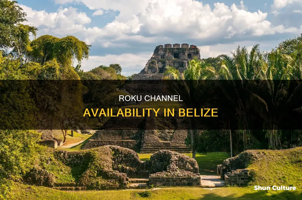 can the roku channel show in belize