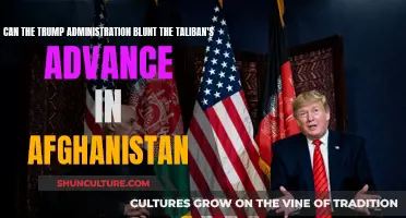 Trump Administration Faces Taliban Resurgence in Afghanistan: Strategies and Challenges