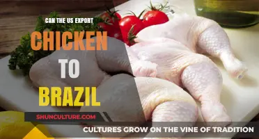 US Chicken Exports to Brazil: Opportunities, Challenges, and Regulations