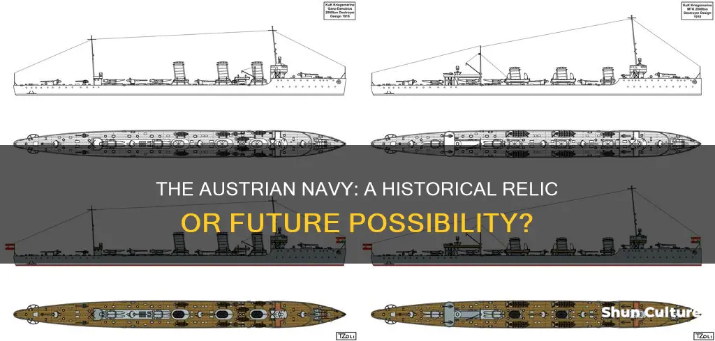 can there be another austrian navy