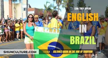 Do Brazilians Speak English? Language Insights for Travelers and Learners