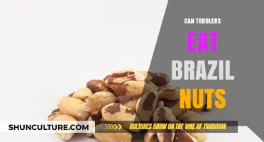 Can Toddlers Safely Eat Brazil Nuts? Expert Nutrition Advice